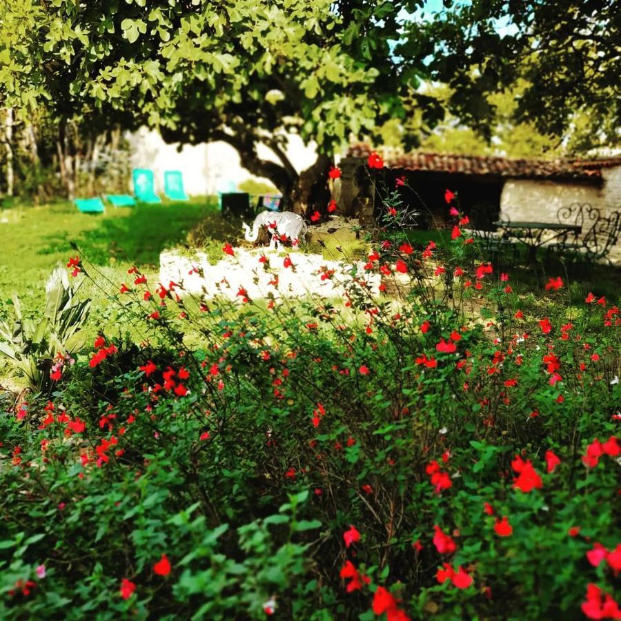 Gite 3 Etoiles Avec Spa, 2 Chambres Le Logis De Pearl Salles-sur-Mer Exterior photo